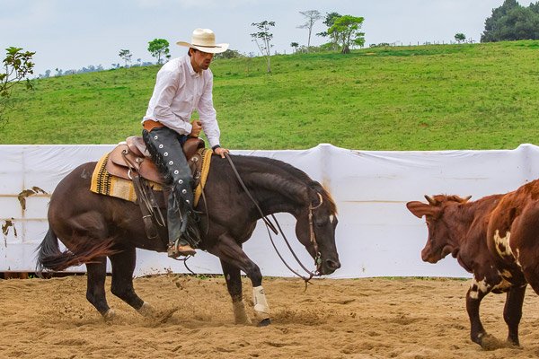 Campeonato Baiano 2019/2020 - Campeão Principiante