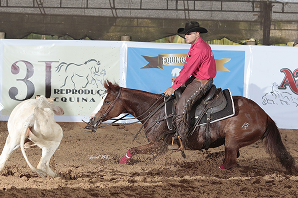 2º Lugar Aberta Livre - Curly Rey DMFR