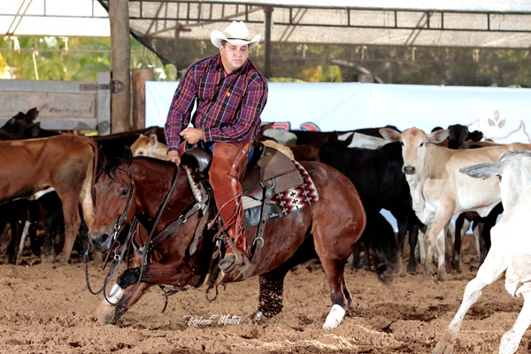 1º Lugar Aberta Livre - Cat Peppy HMR