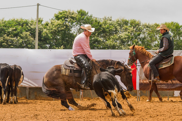 Anna Onyx - Co-Reservada Campeã Baiana 2017/2018 - Categoria Aberta Livre