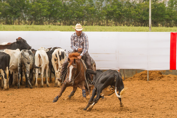Aloísio Figueiredo Andrade Júnior - Campeão Baiano 2017/2018 - Categoria Principiante
