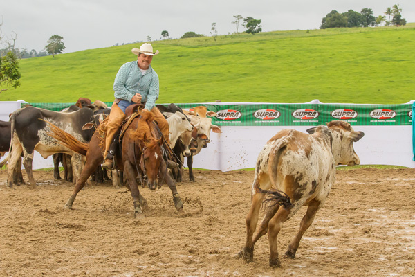 Bala no Alvo Dual - Reservado Campeão Baiano 2017/2018 - Categoria Aberta Limitada