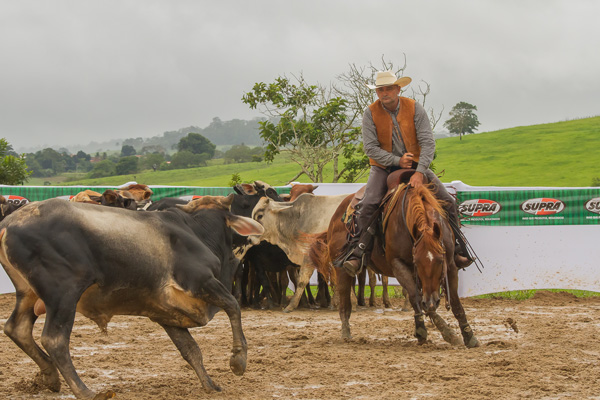 Bala no Alvo Dual - Campeão Baiano 2017/2018 - Categoria Aberta Livre