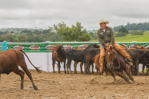 Paulo André Jesuino dos Santos - Reservado Campeão Baiano 2017/2018 - Categoria Principiante