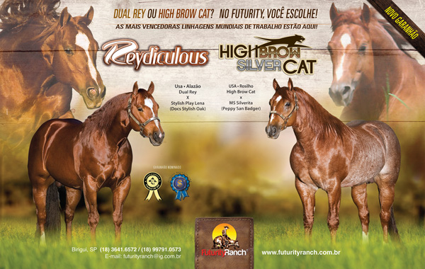 Haras Futurity Ranch