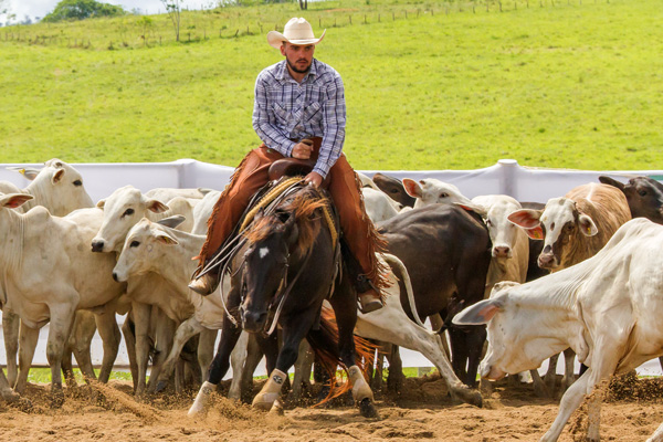 Res. Campeão Jovem - Fernando Augusto de Oliveira Santos Filho
