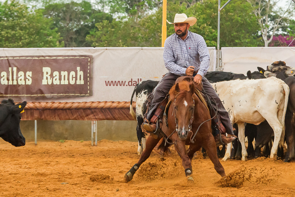 Campeão Aberta Livre - Bala no Alvo Dual