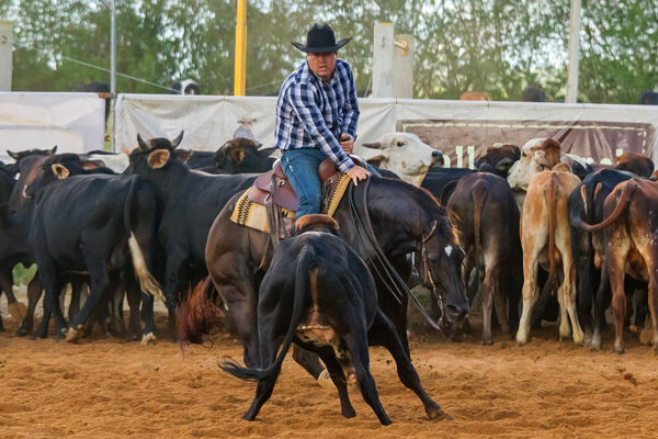 Res. Campeão Master - Marcelo Moscoso Ribeiro