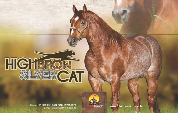 Haras Futurity Ranch - High Brow Silver Cat