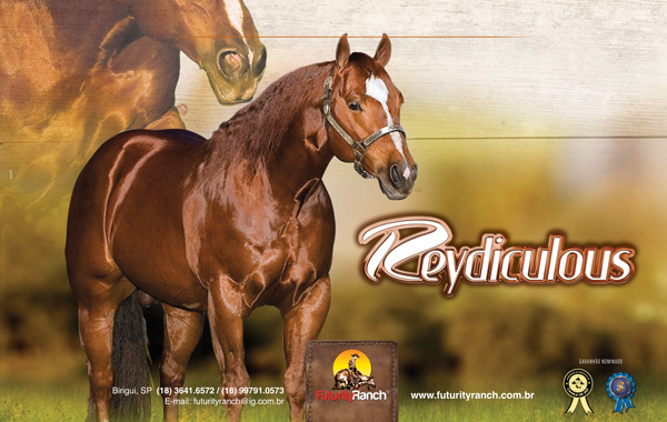 Haras Futurity Ranch - Reydiculous