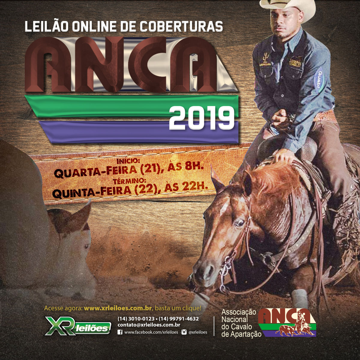 Leilão de Coberturas ANCA 2019