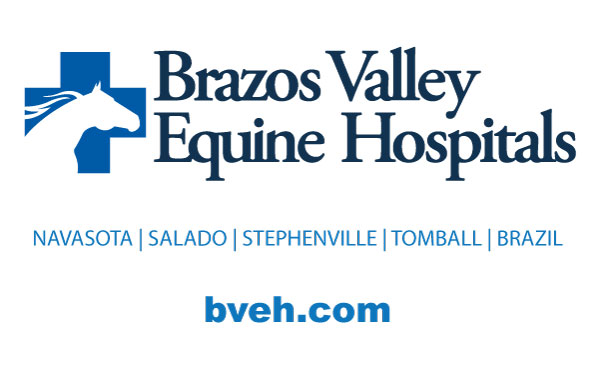 Brazos Valley Equine Hospitals