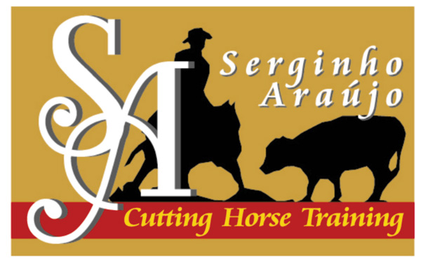 SA Cutting Horse Training