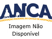 Clique aqui para ver a campanha completa de Smart Little Jay