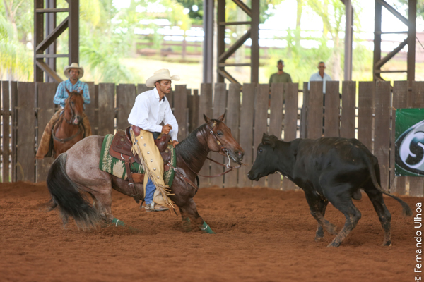 ANCA - Associação Nacional do Cavalo de Apartação