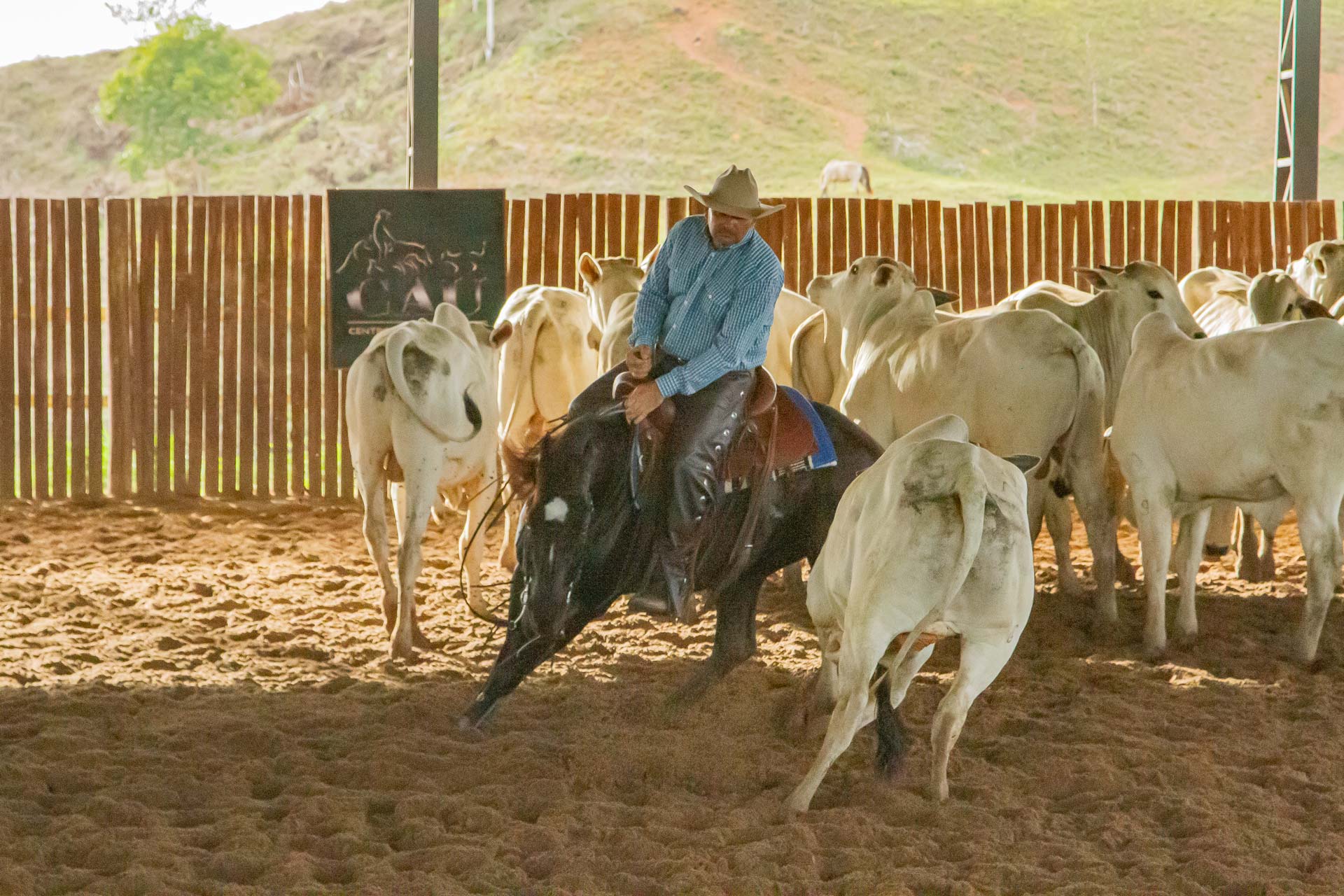 Campeão Aberta Júnior do Campeonato Baiano - 1ª Etapa