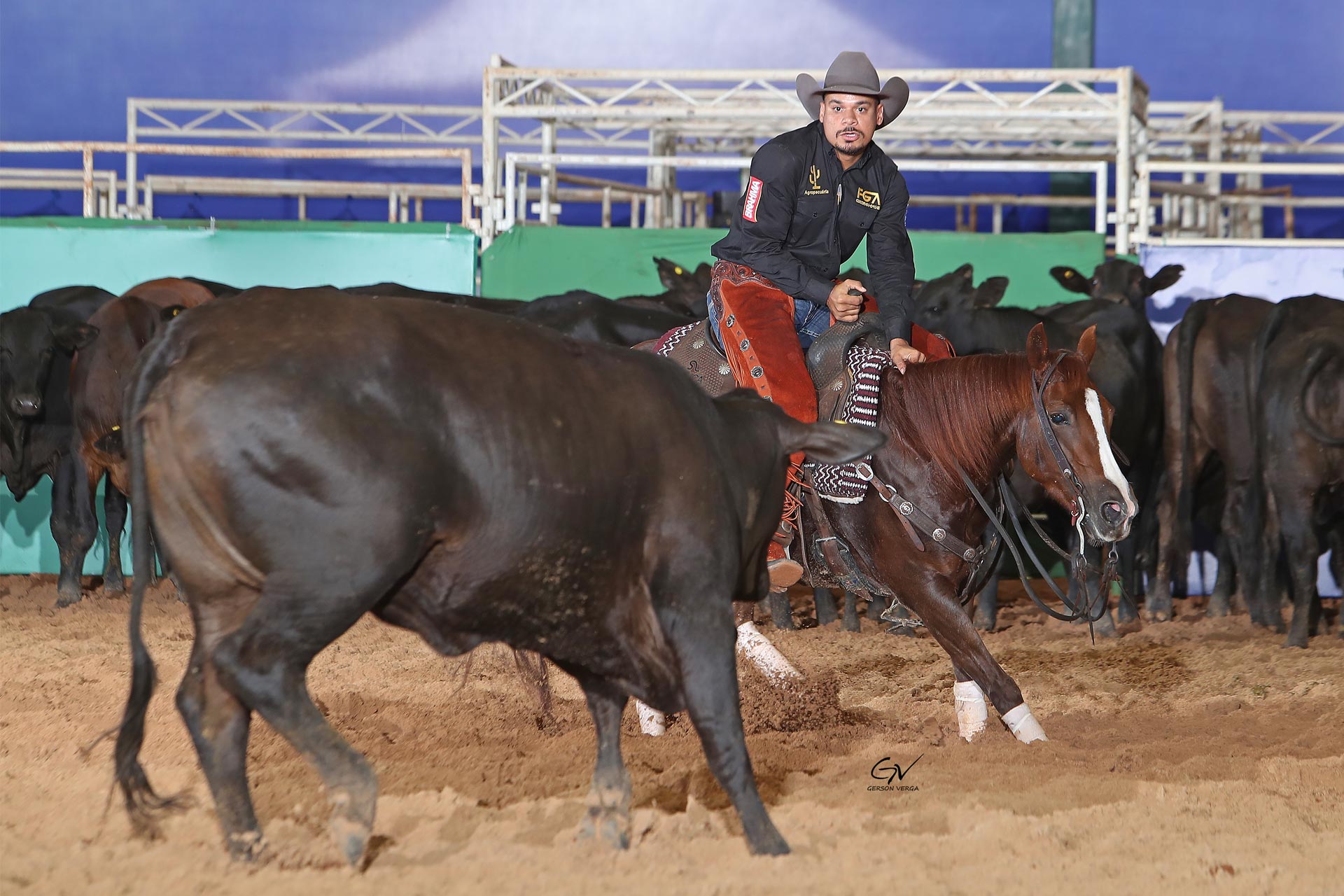 Campeão da Aberta Júnior