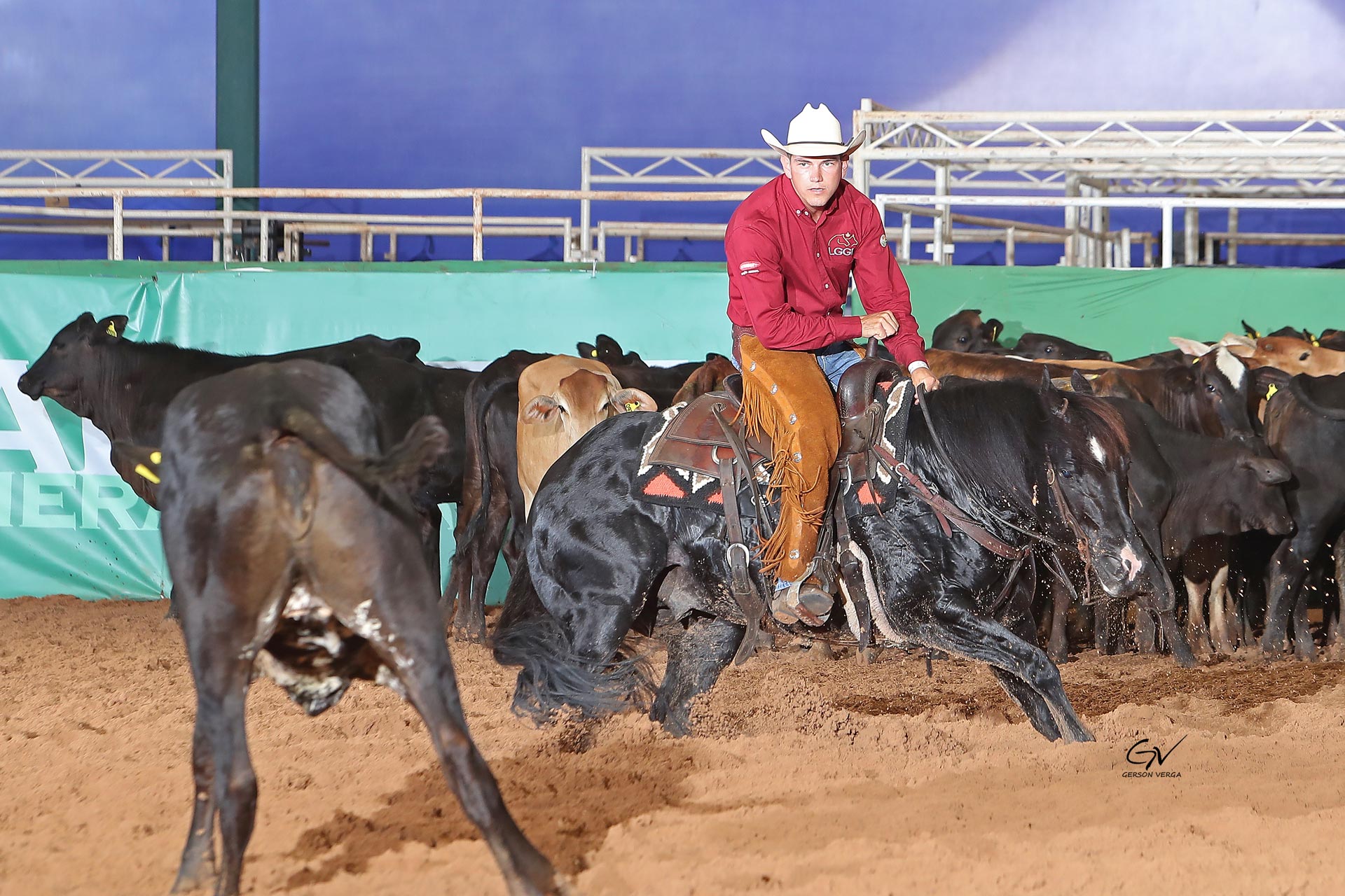 Campeão Profissional Light
